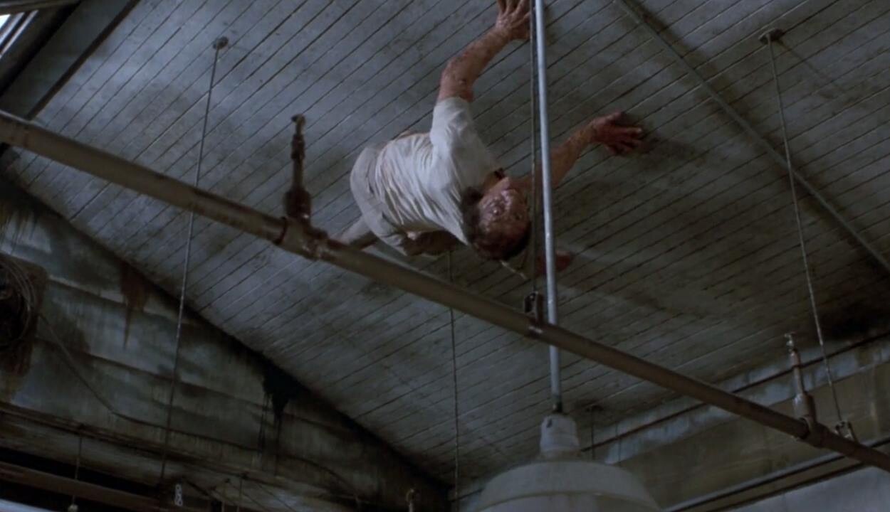 ça colle au plafond pour seth