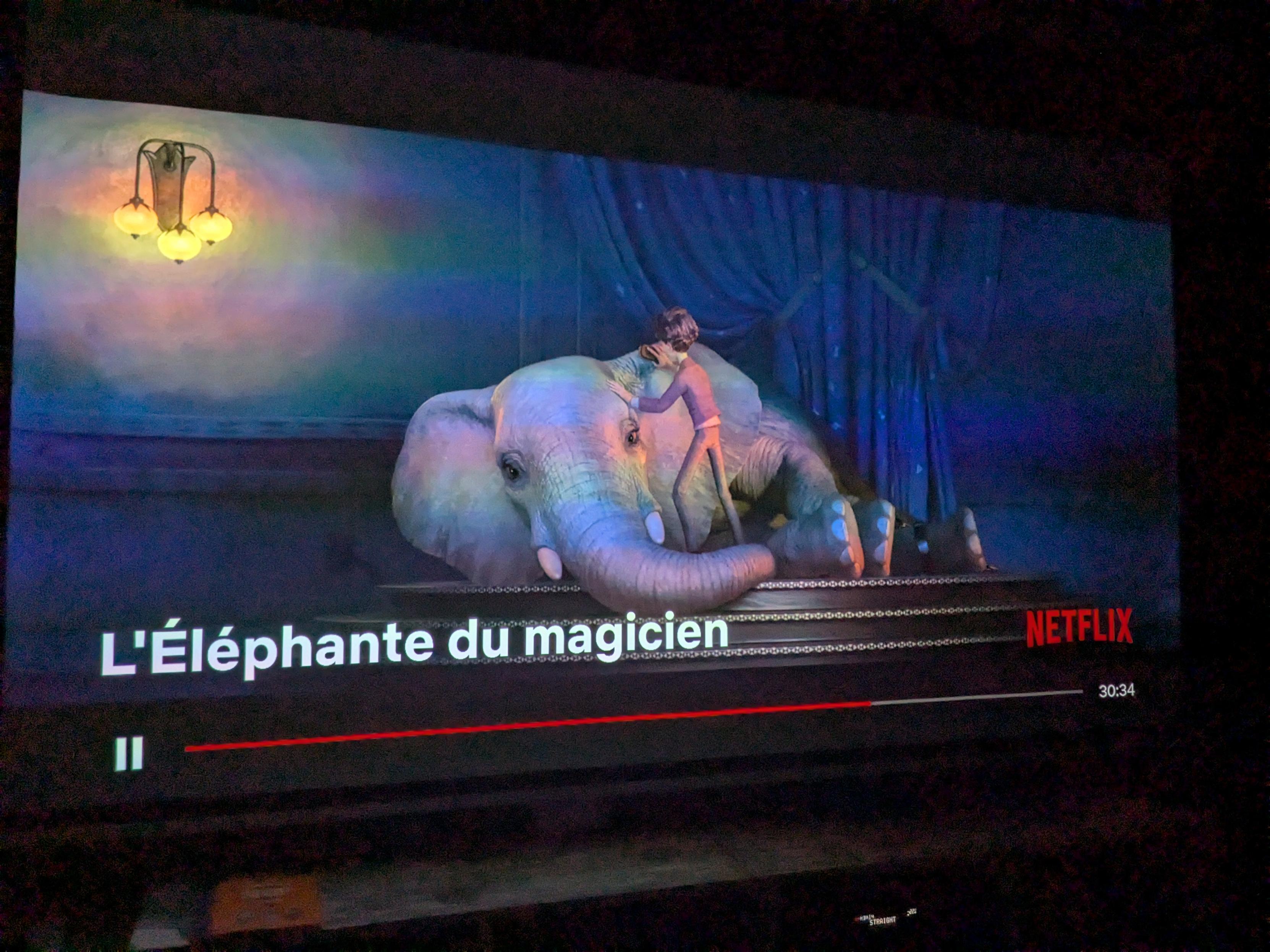 On voit le héros près de son amie éléphante.